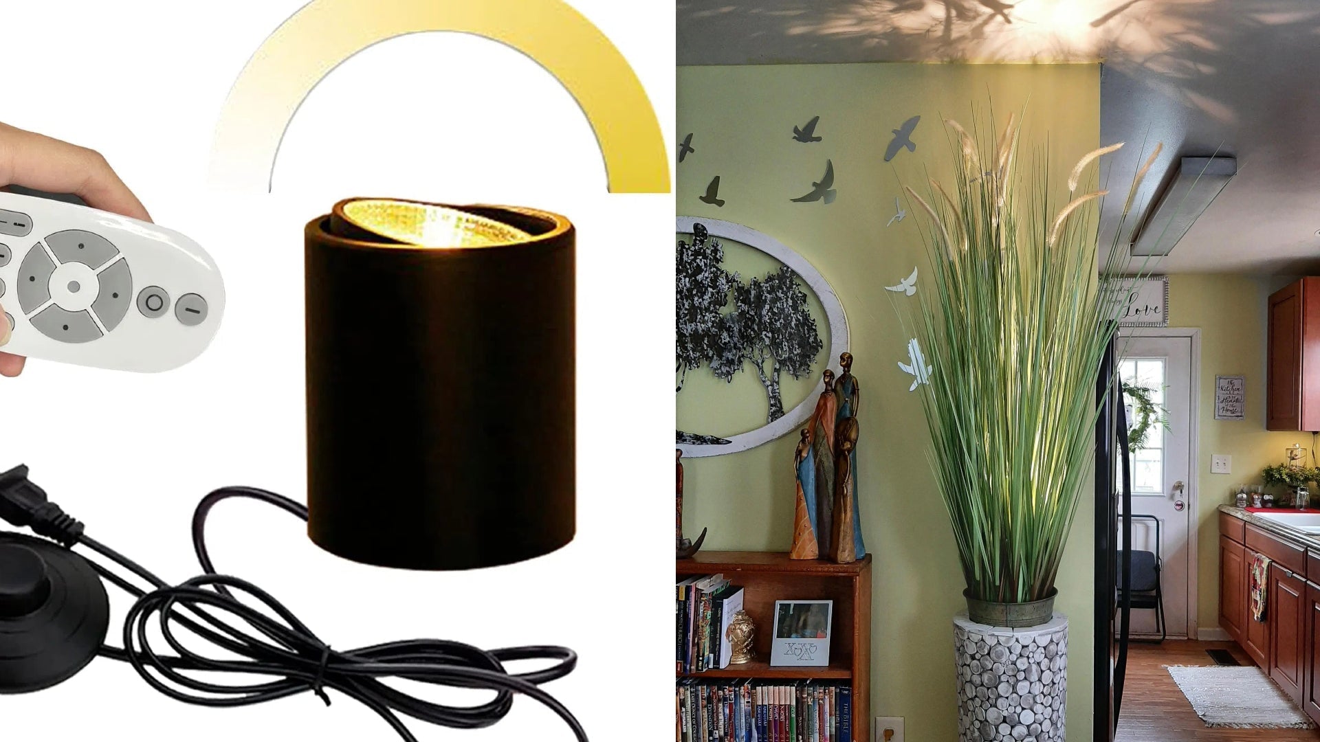 A person using a remote to control a spotlight illuminating a tall decorative plant in a cozy living space.