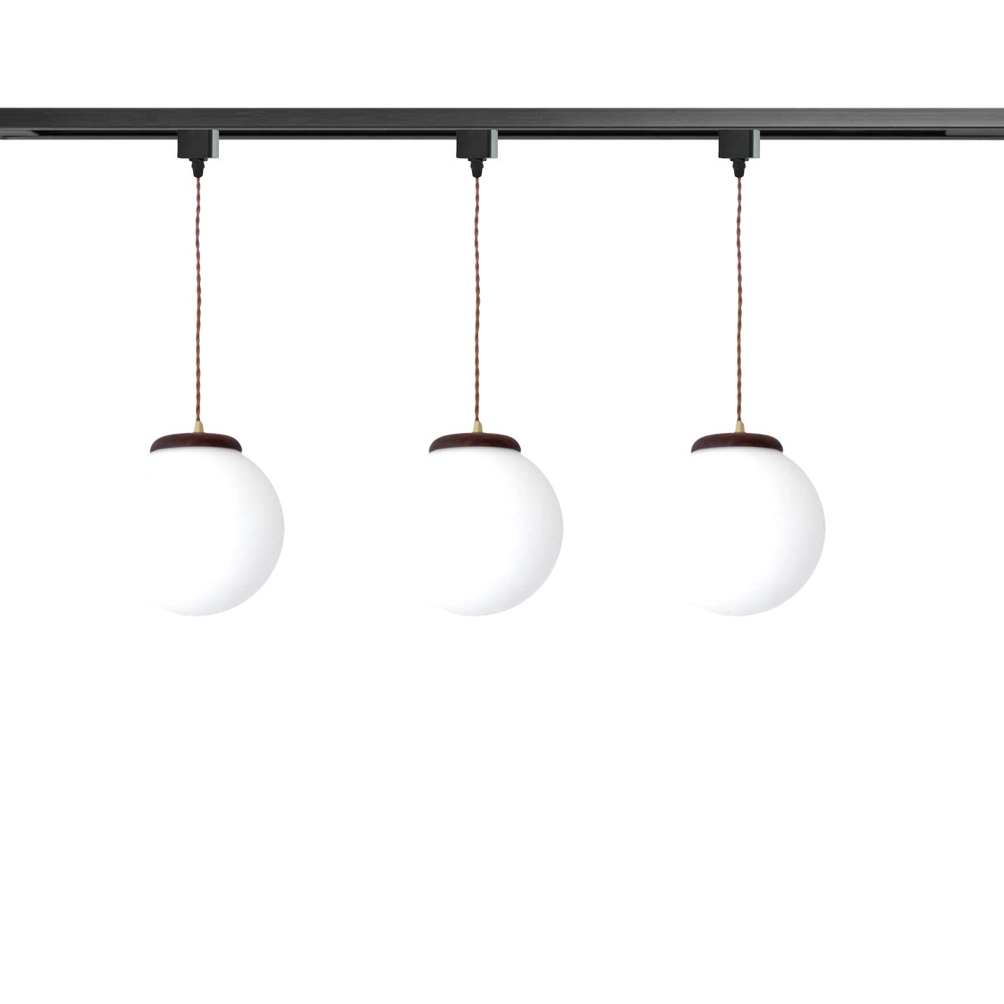 Globe Track Light