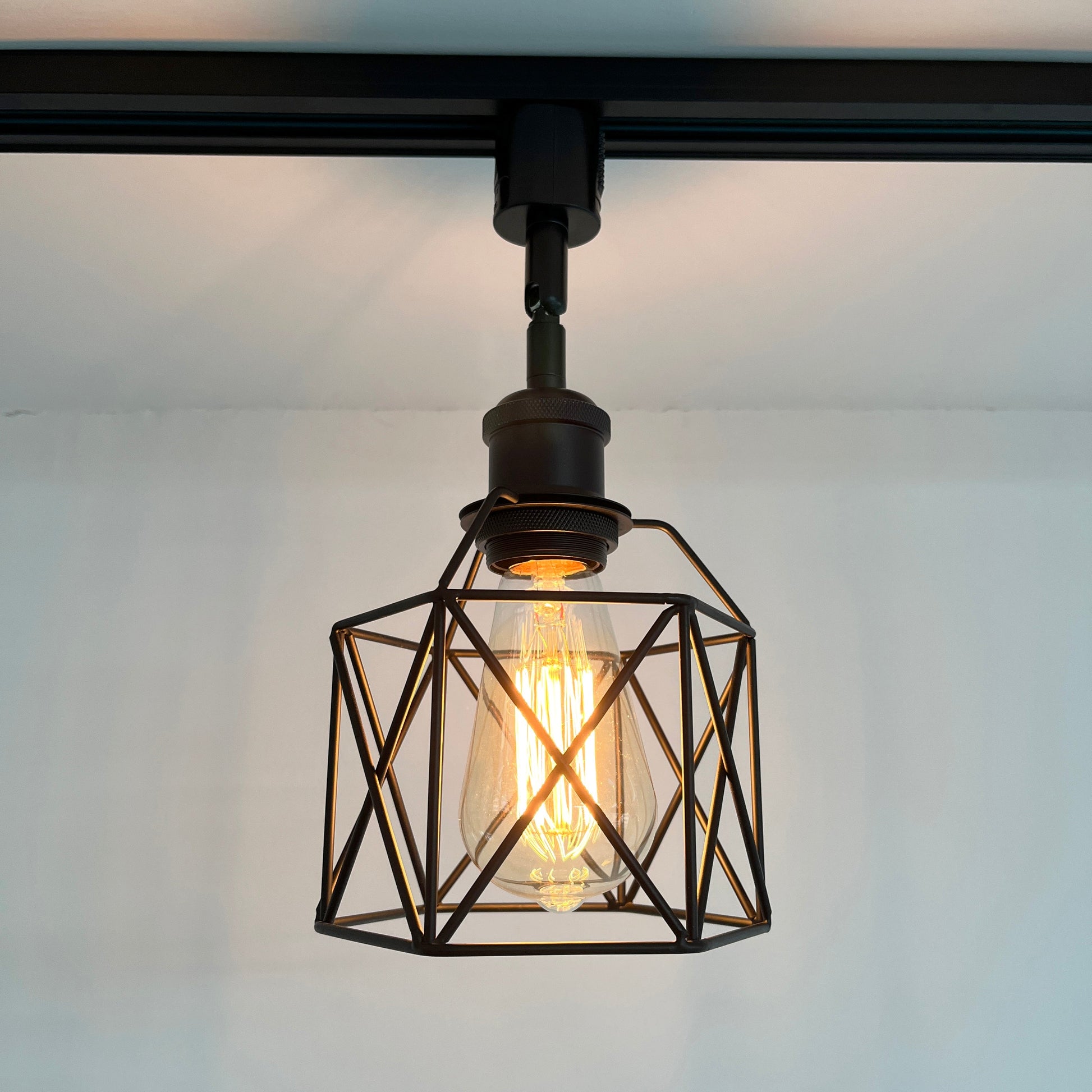 Black geometric cage track light with Edison bulb, adjustable vintage design, perfect for accent lighting.