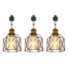 Load image into Gallery viewer, Hollow Cage Metal Shade Track Light Rotatable Tilt Adjustable Accent Lighting Vintage Design