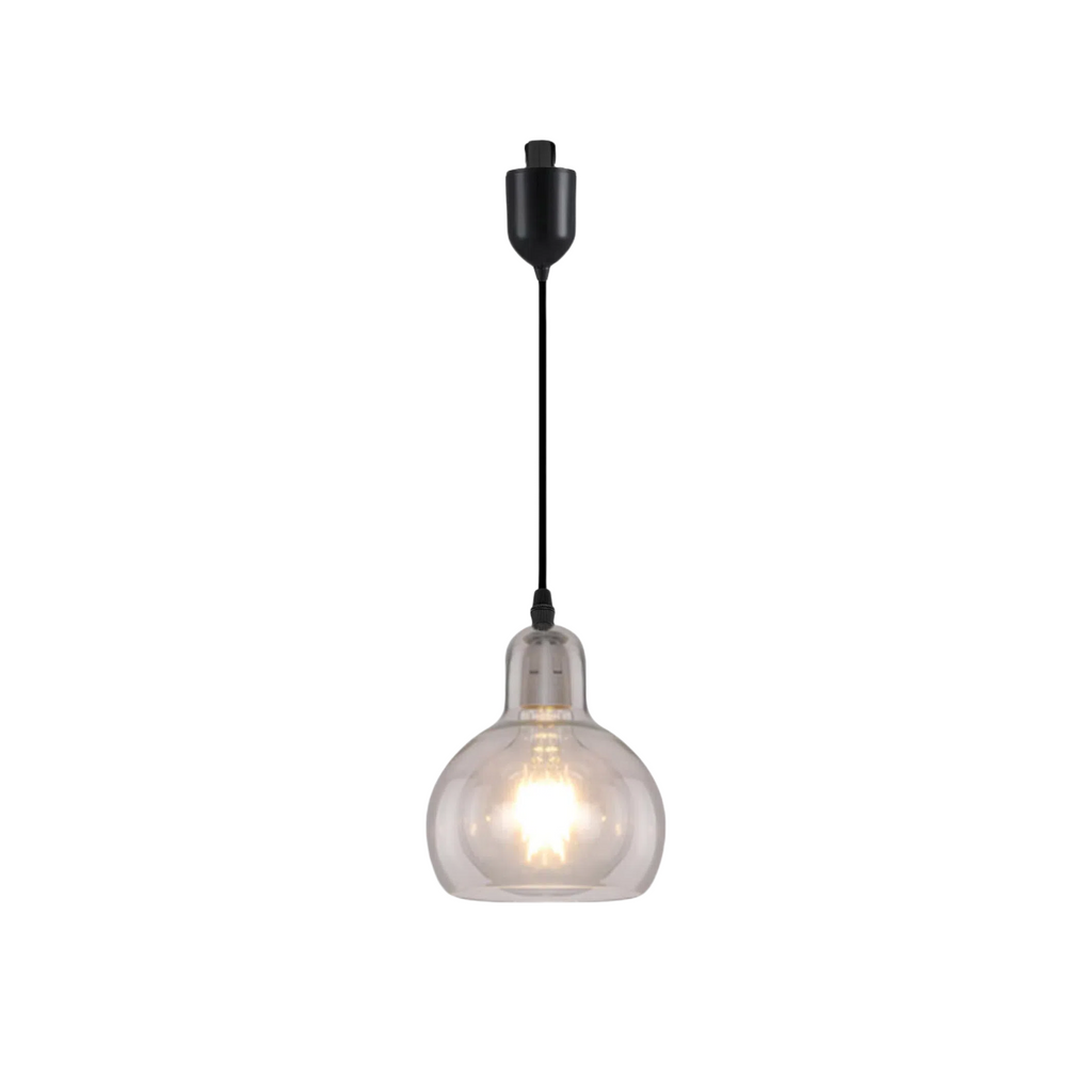 Kiven J-Type Track Lighting, 1-Light Modern Juno Track Pendant Light with Clear Glass Lampshade, J Track Light Pendant Adjustable Length for Bedroom Kitchen Shop (Bulb NOT included)