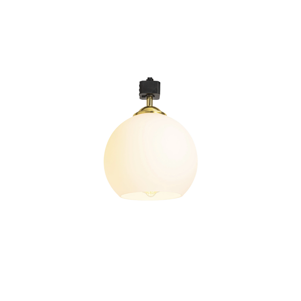 Track Head Ceiling Light with Globe Glass Lampshade - Kiven Lighting, suitable for track lighting systems.