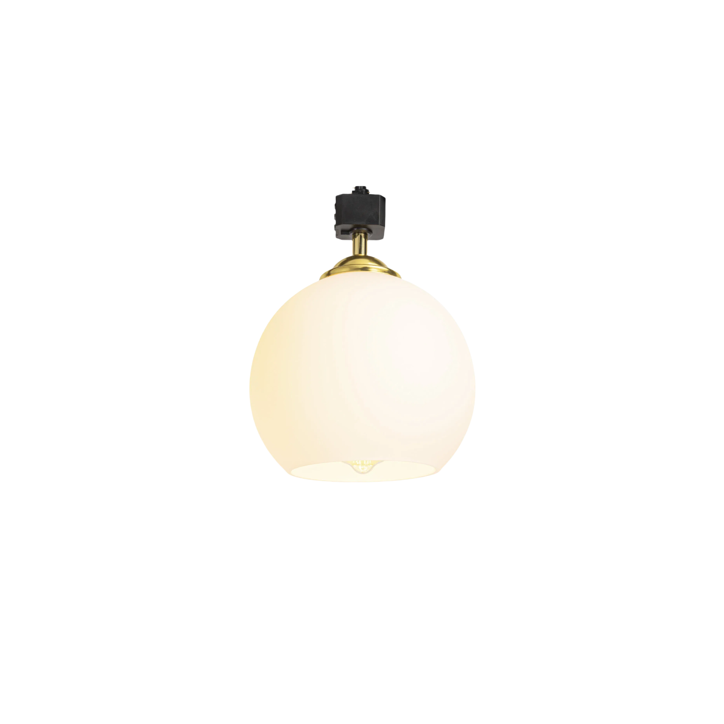 Track Head Ceiling Light with Globe Glass Lampshade - Kiven Lighting, suitable for track lighting systems.