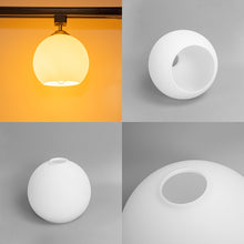 Load image into Gallery viewer, Track Head Lighting Ceiling Lights Globe Glass Lampshade