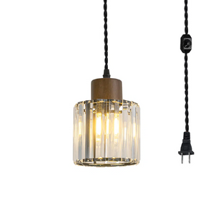 Hanging Light Plug In Outlet Corded Modern Crystal Shade E26 Base Living Lamp