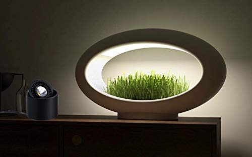 Black 5W LED Barrel Spotlight with foot pedal, accent lighting for home. Kiven Lighting.