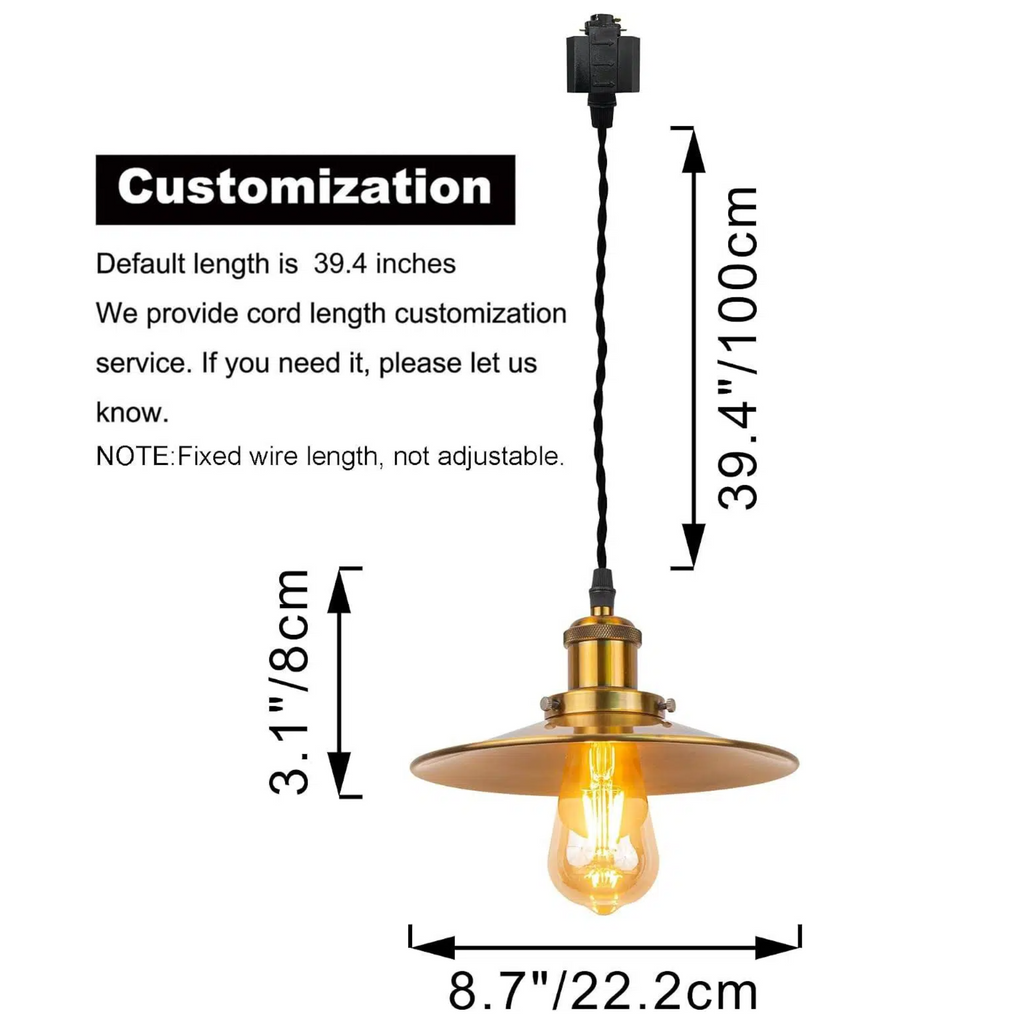 Kiven H-Type Track Lighting, 1-Light Modern H Track Light Pedant with Metal Lampshadefor Kitchen Island Cafe Bedroom, Cord length 39.4",Gold Finish