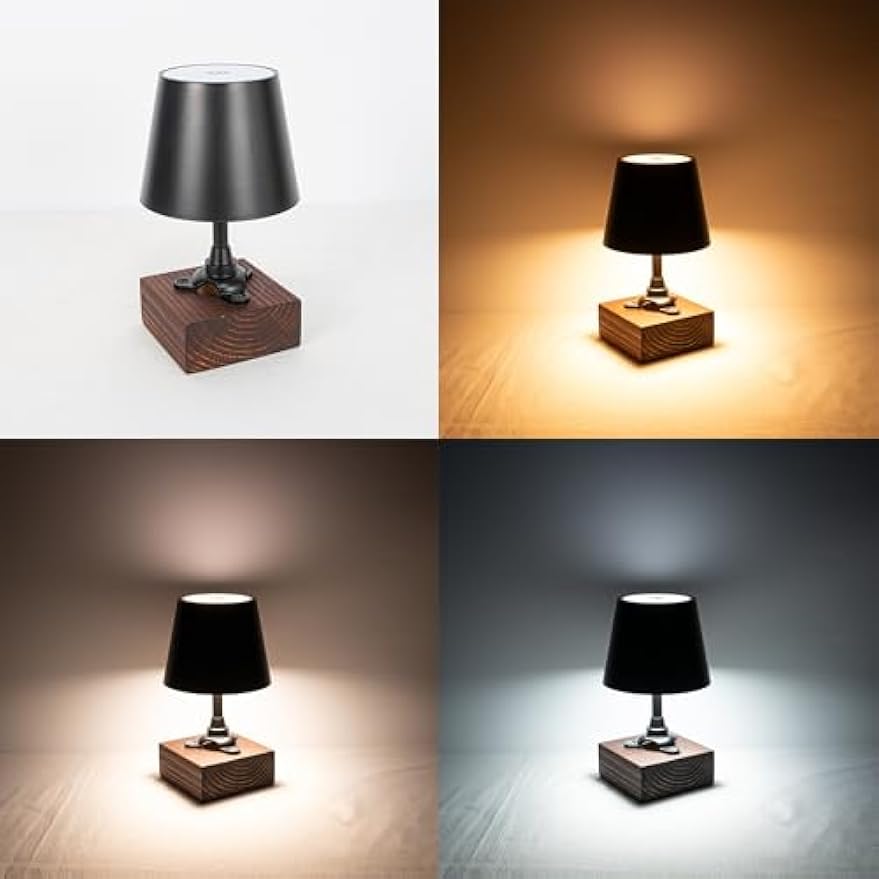 Kiven Cordless Table Lamp,1-Light Dimmable Bedside Lamps for Nightstand with 3 Colors Mode, Farmhouse Rechargeable Desk Lamps for Reading Home Decor Bedside TD1037