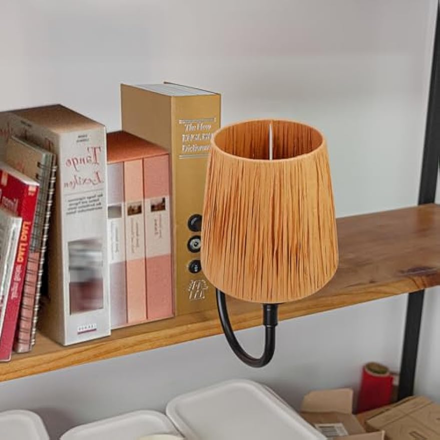 Kiven Cordless Bookshelf Lamp, 1-Light Rechargeable Bookcase Lighting with Raffia Lamp Shade, Farmhouse Decorative Bookend, Cordless Table Lamp for Bedside Bookshelf Office Home Decor