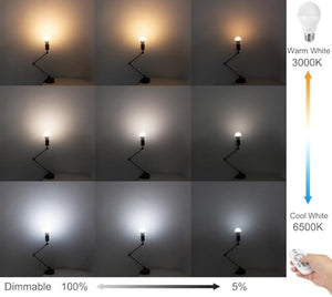Kiven silver dimmable clamp lamp demonstrating adjustable color temperature and dimming settings, controlled by remote.