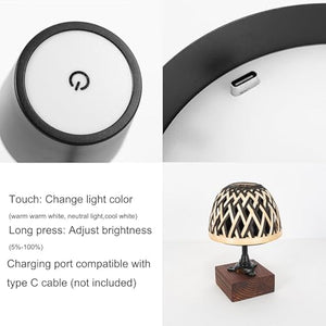 Kiven cordless bedside lamp, dimmable with touch control, rattan shade, Type-C charging port. Perfect for home decor.