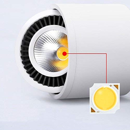 White 5W LED Barrel Spotlight Detail, COB LED spotlight design, ideal for accent lighting, warm white light.