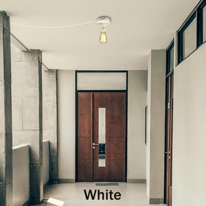 Motion Activated Ceiling Light Plug-in Industrial Lights Adjusted Delay Time for Bathroom Hallway