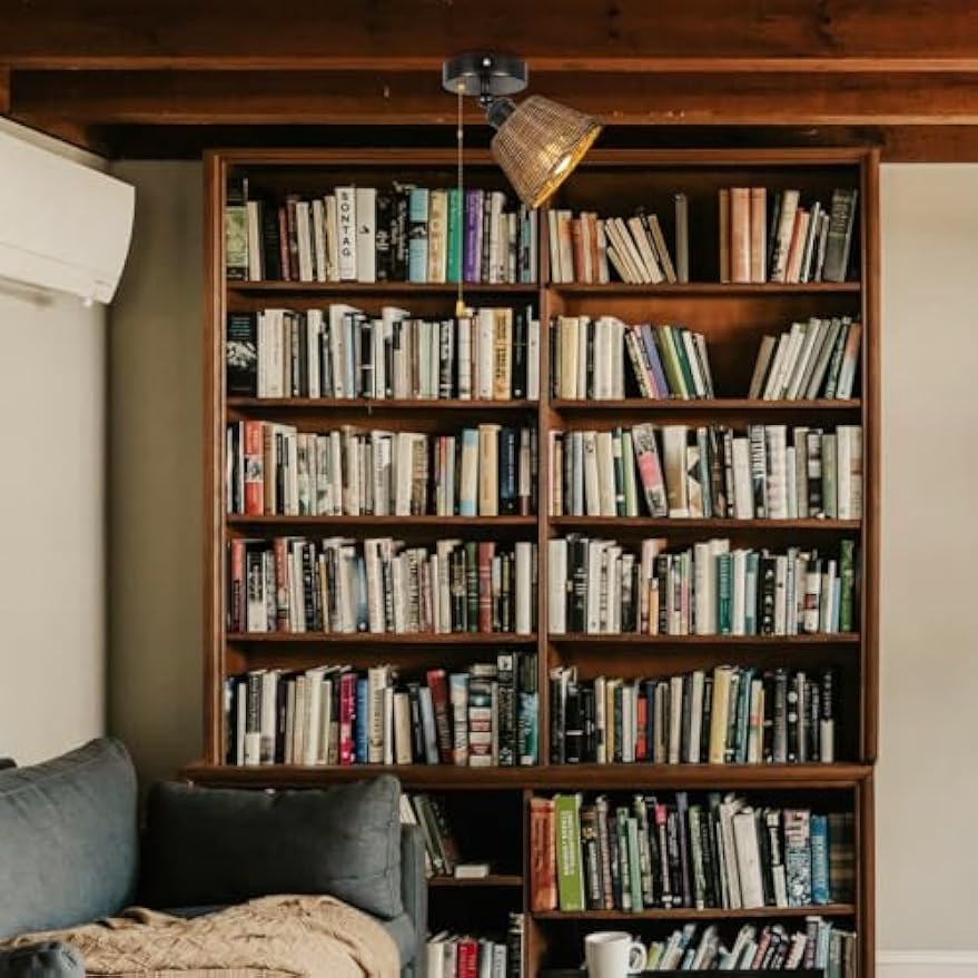 Kiven Rattan ceiling light in RV interior, 12V dimmable warm light, woven shade, against a bookshelf