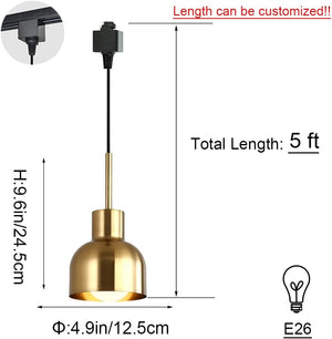 Brass pendant track light with customizable length, dimensions shown: 9.6in x 4.9in, total length 5ft. E26 bulb compatible.
