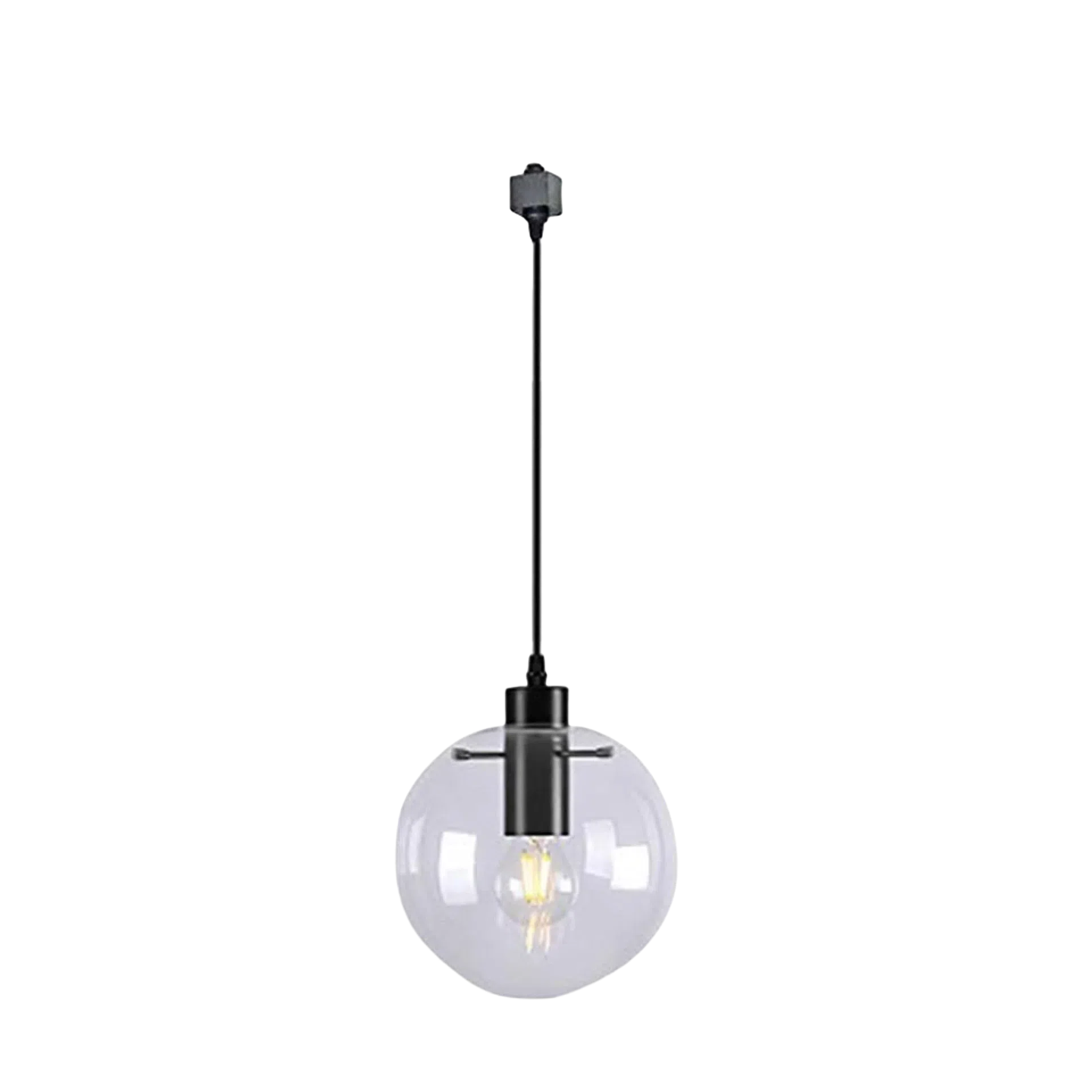 Kiven Lighting Track Mount Pendant Light with Clear Glass Globe and Black Metal Accents.
