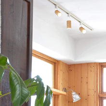 Load image into Gallery viewer, Track Head Light Adjustable Angle 8W LED Accent Lighting
