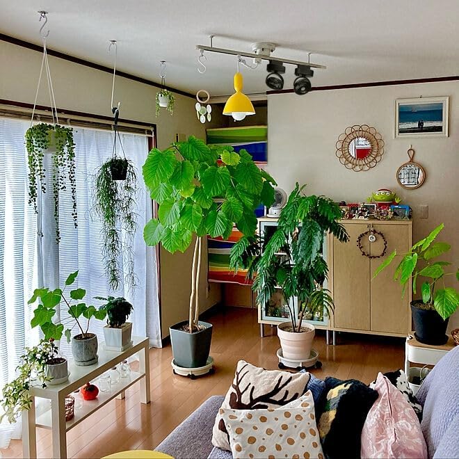 360° Adjustable H Track Rail Fan with Auto-Oscillation, Matte Black Mini Blower for Indoor Plants & Pets, Stepless Speed Control Air Circulator