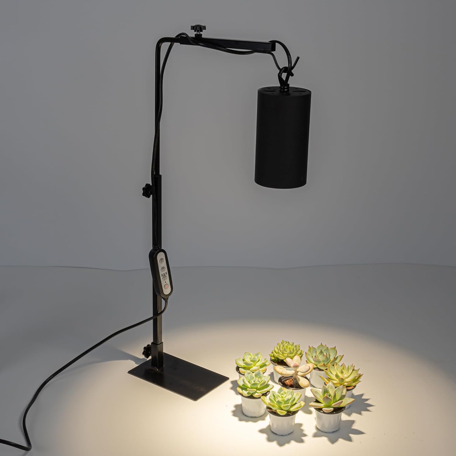 Black adjustable plant grow light with timer, illuminating succulents for optimal growth.