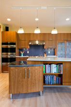 Load image into Gallery viewer, Track Pendant Lighting with Frosted White Finish Glass Shade