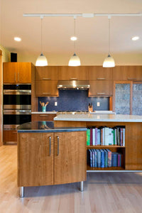Track Pendant Lighting with Frosted White Finish Glass Shade
