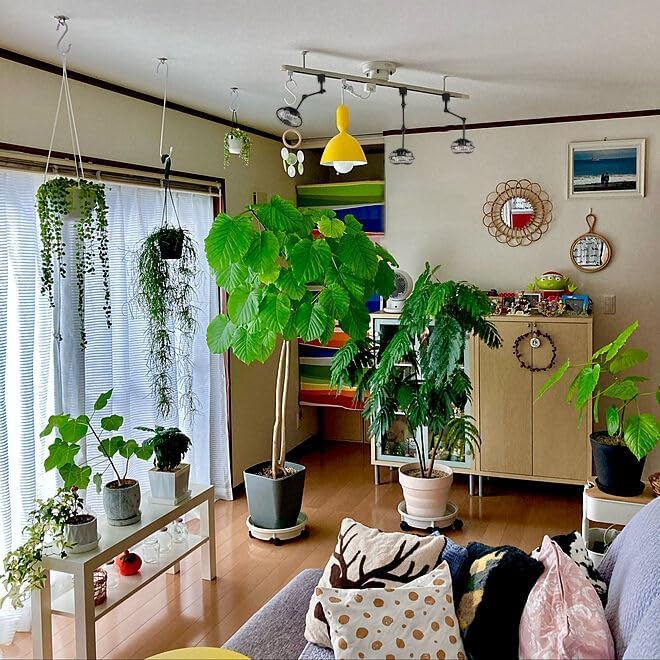 H Track Mounted Ceiling Black Fan Adjustable Angle 16.1 Inches Height For Home Indoors Plants Growing