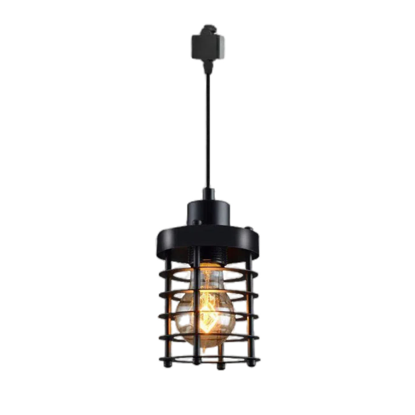 Black iron cage track light pendant with Edison bulb. Vintage industrial lighting.