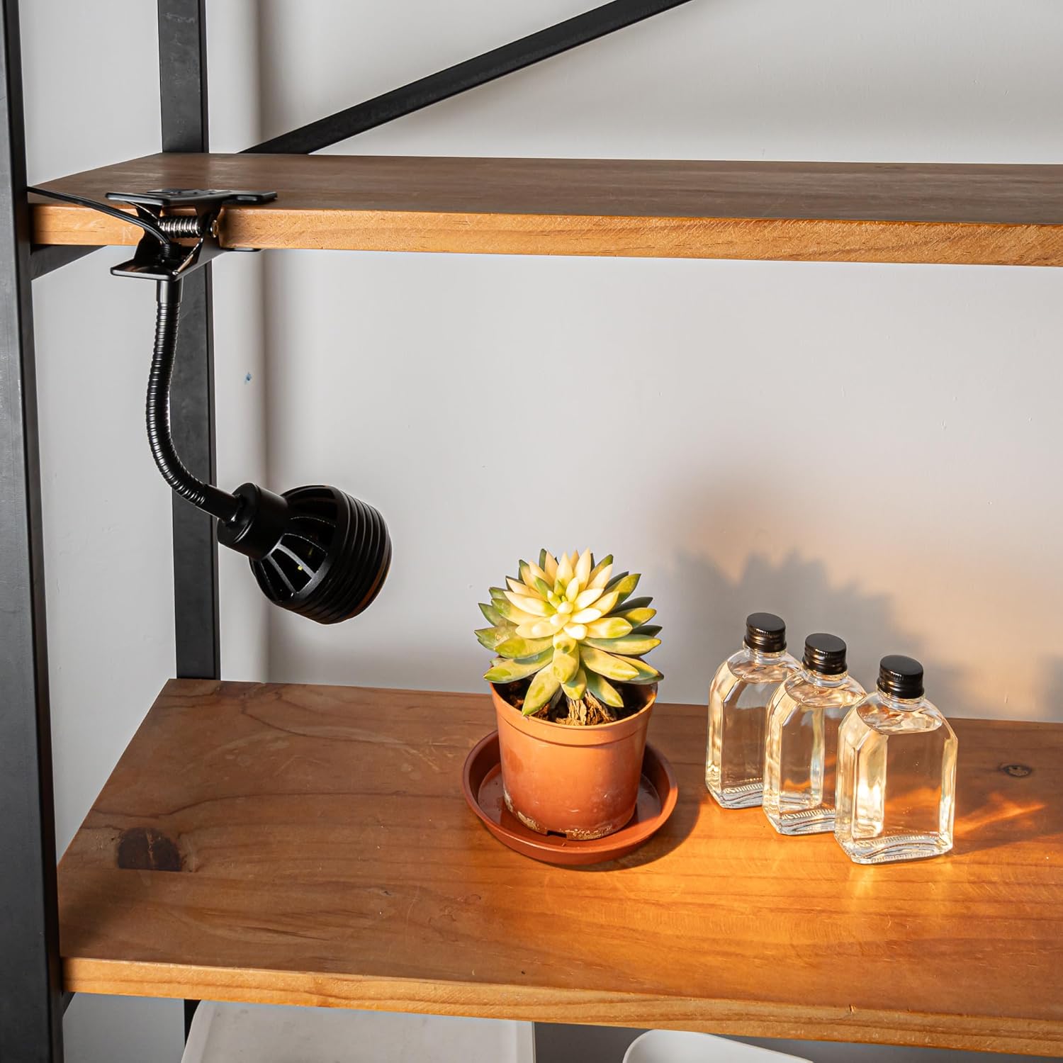 Clip mount full spectrum spotlight with plant, focused indoor plant lighting, black finish, adjustable beam angle.