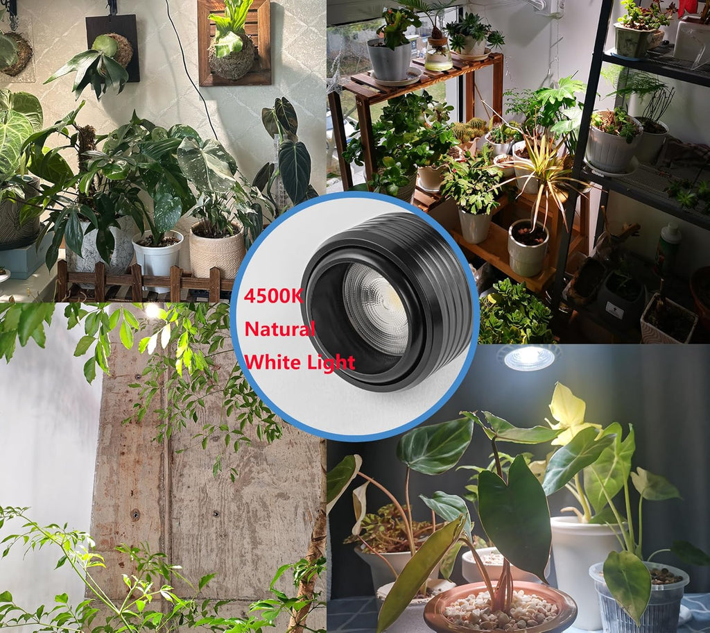 Full spectrum track light shining on houseplants, 4500K natural white light, vintage design for home plant growth.