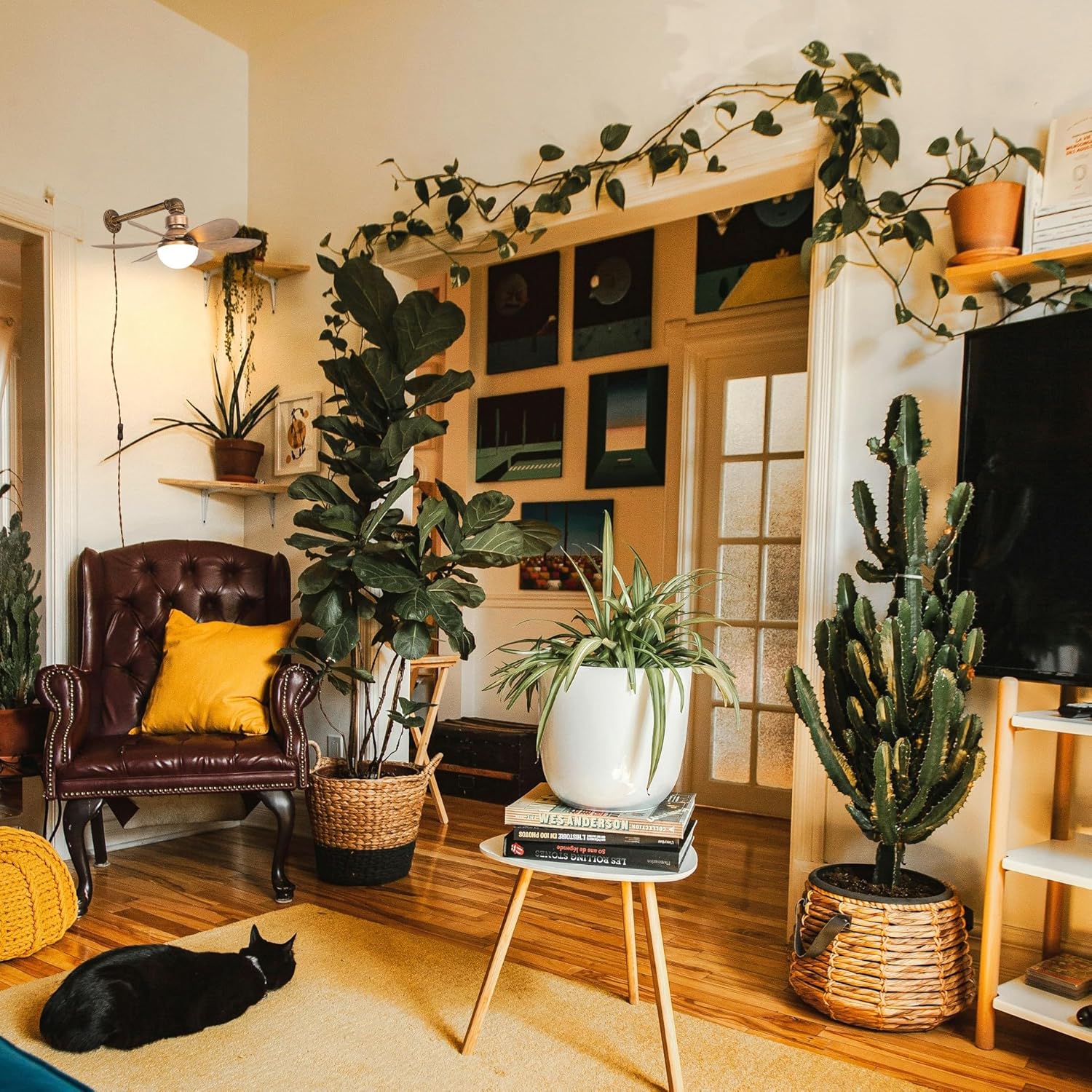 Retro wall mount fan with light in a bohemian plant-filled living room, vintage rustic style