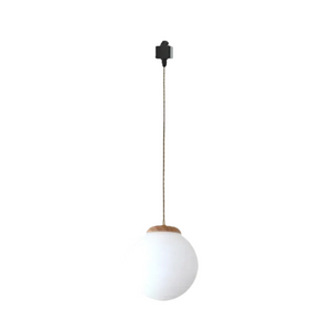 Dimmable H-Type Little Felt Hat Track Pendant lighting Modern Log Glass Globe Shape Living Room Lights Kitchen