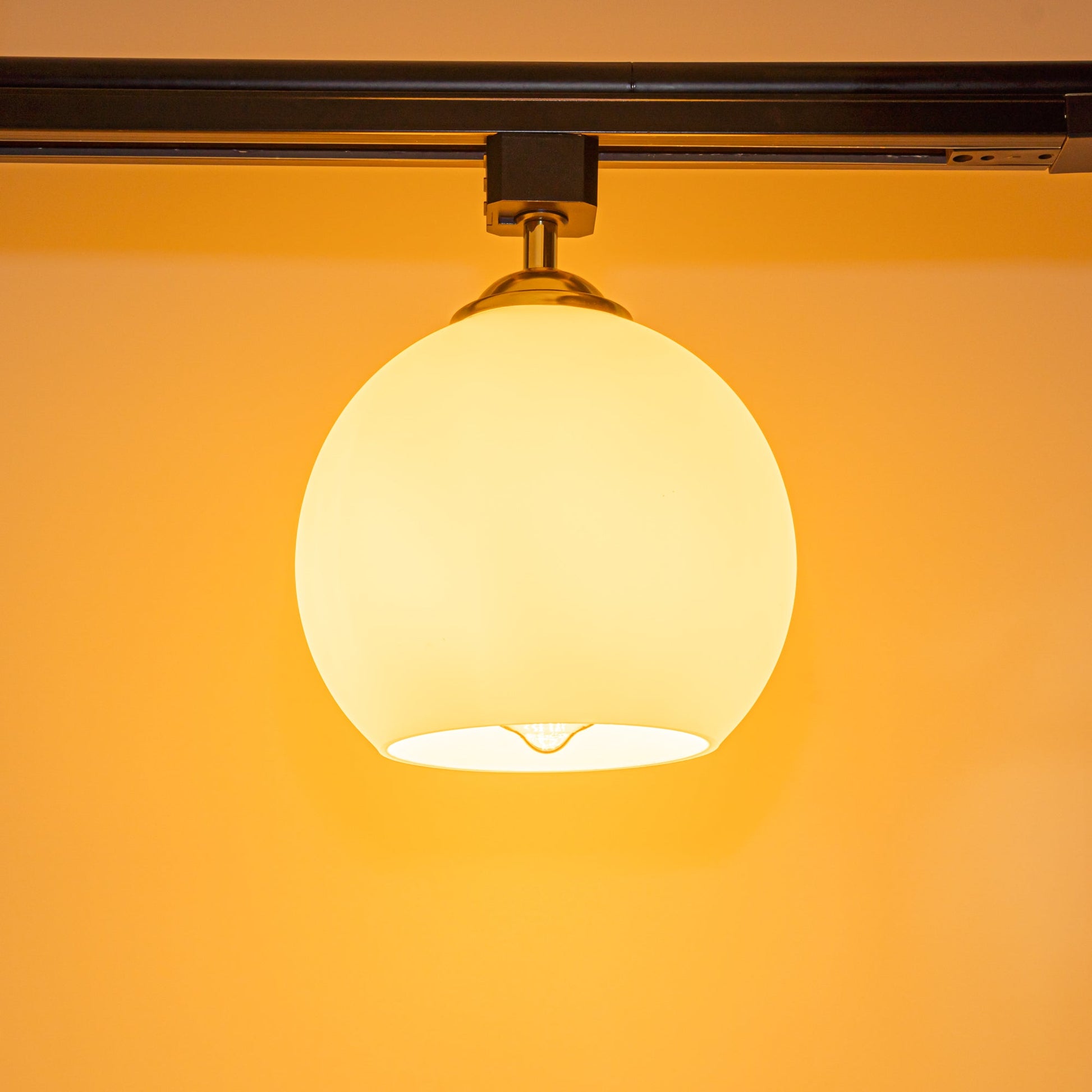 Track Head Lighting Ceiling Lights Globe Glass Lampshade