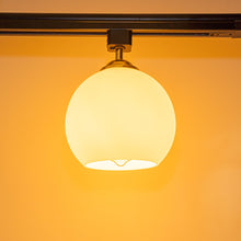 Load image into Gallery viewer, Track Head Lighting Ceiling Lights Globe Glass Lampshade