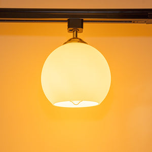 Track Head Lighting Ceiling Lights Globe Glass Lampshade