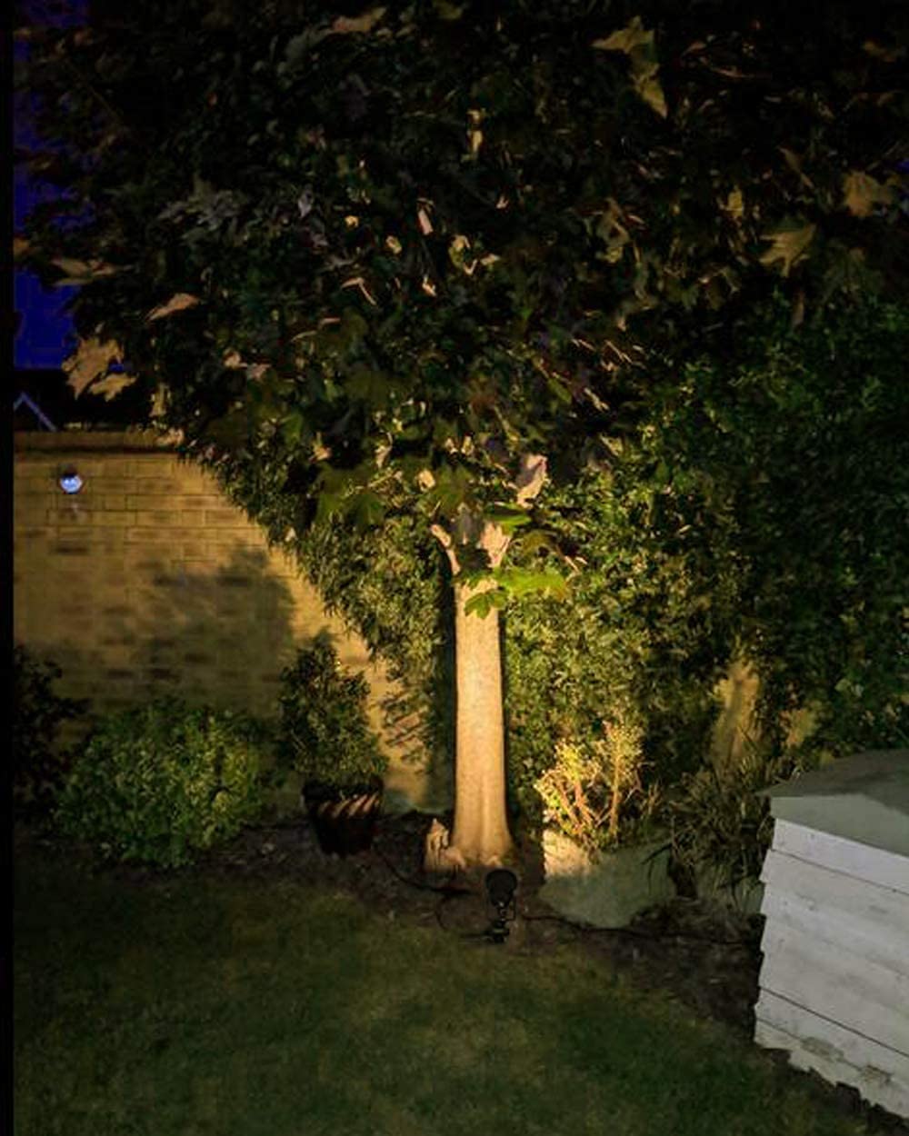 Kiven Retro LED Clip Light - 3M Black Cord, CE, IP65 Waterproof, No Switch - Indoor/Outdoor