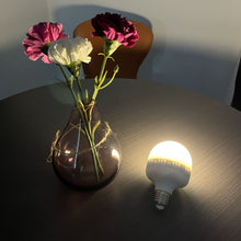 Load image into Gallery viewer, Rechargeable Smart LED Bulbs Dimmable with Remote