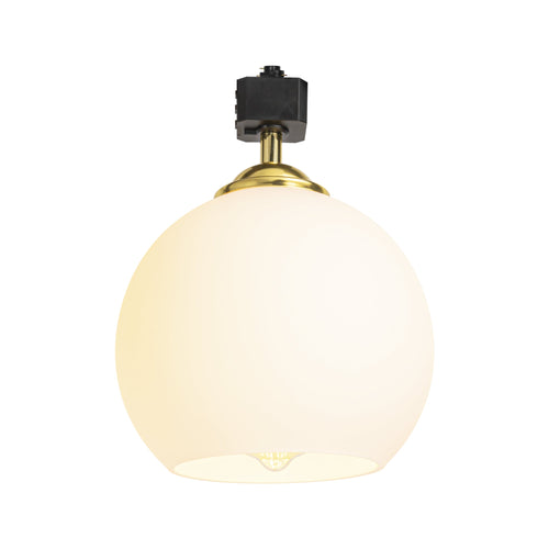 Track Head Lighting Ceiling Lights Globe Glass Lampshade