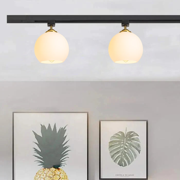 Track Head Lighting Ceiling Lights Globe Glass Lampshade
