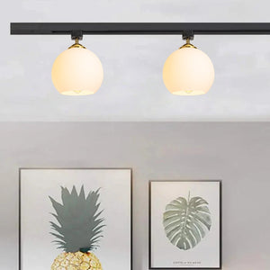 Track Head Lighting Ceiling Lights Globe Glass Lampshade