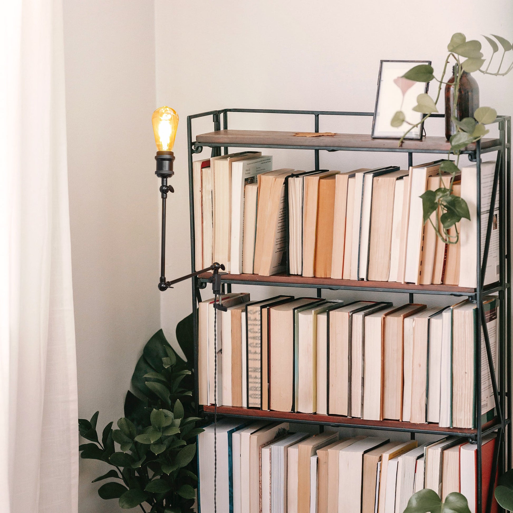 Modern clip-on desk lamp on bookshelf with Edison bulb. Ideal for adjustable bedside or reading light.
